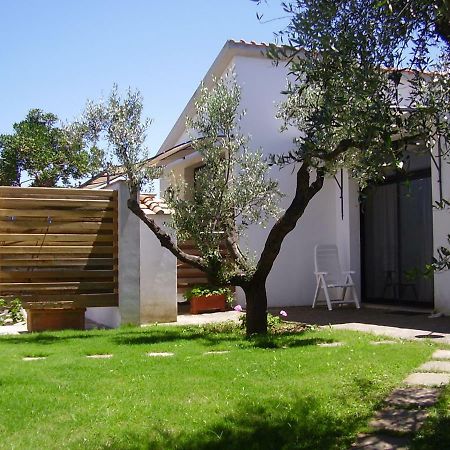 Podere Belvedere Cecina Cecina  Exterior photo
