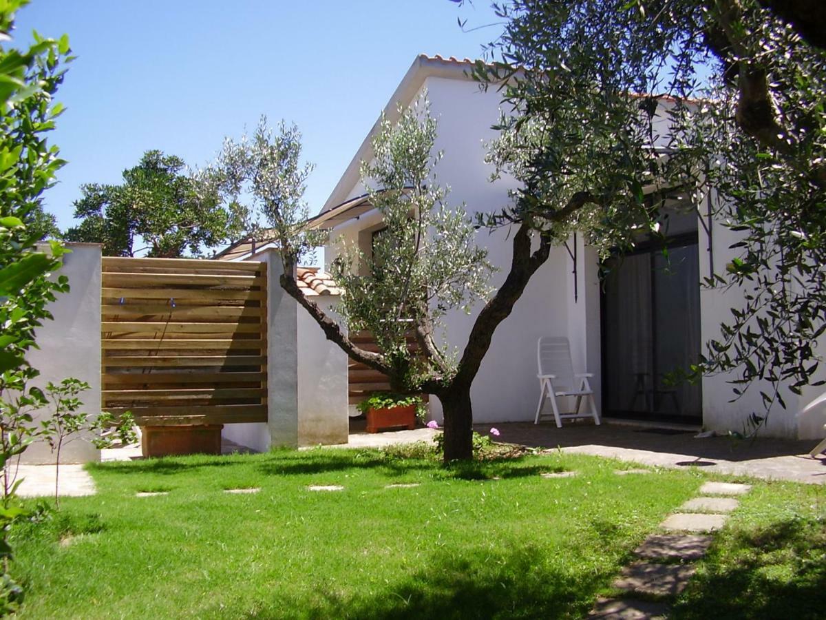 Podere Belvedere Cecina Cecina  Exterior photo