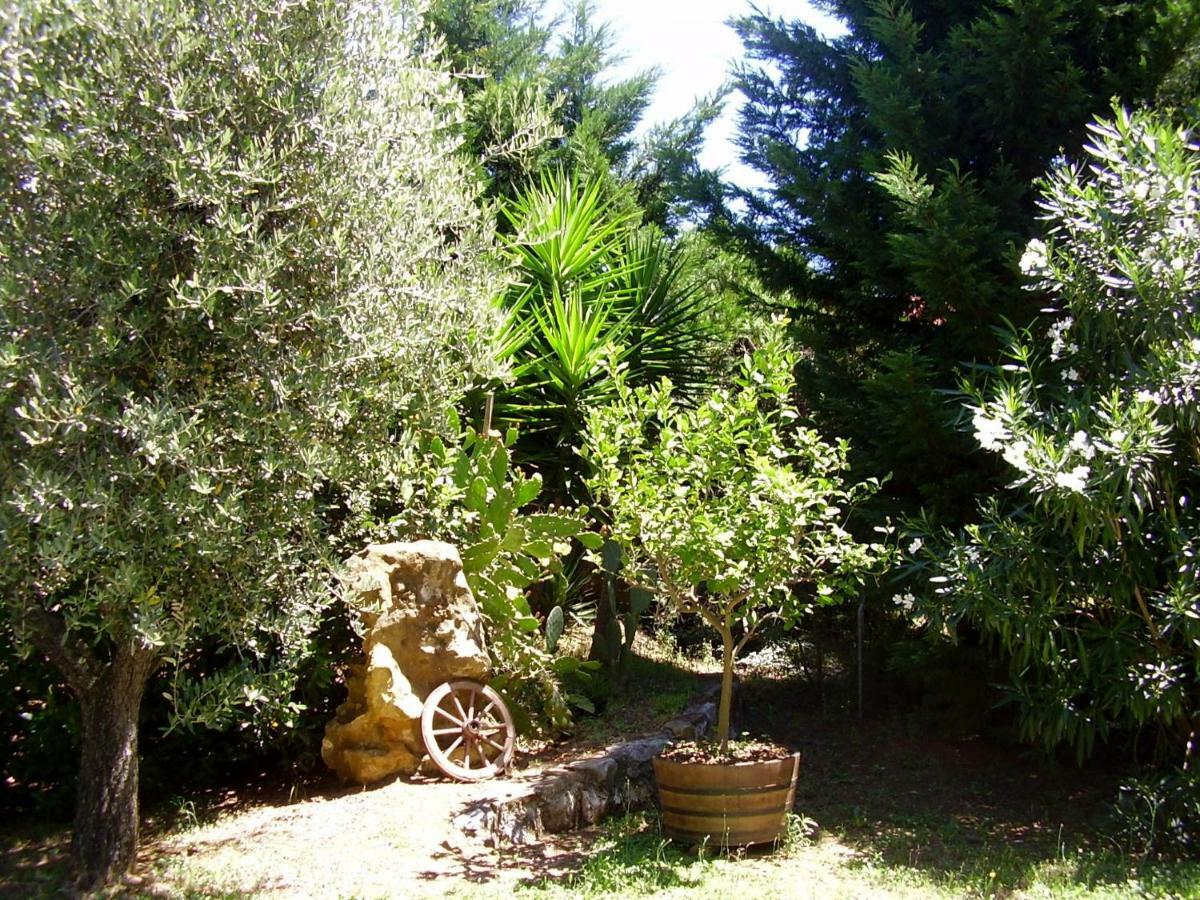Podere Belvedere Cecina Cecina  Exterior photo
