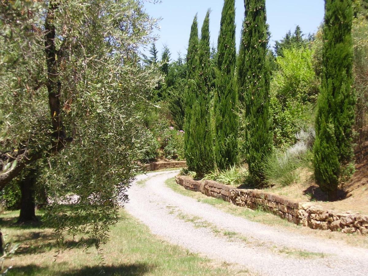 Podere Belvedere Cecina Cecina  Exterior photo