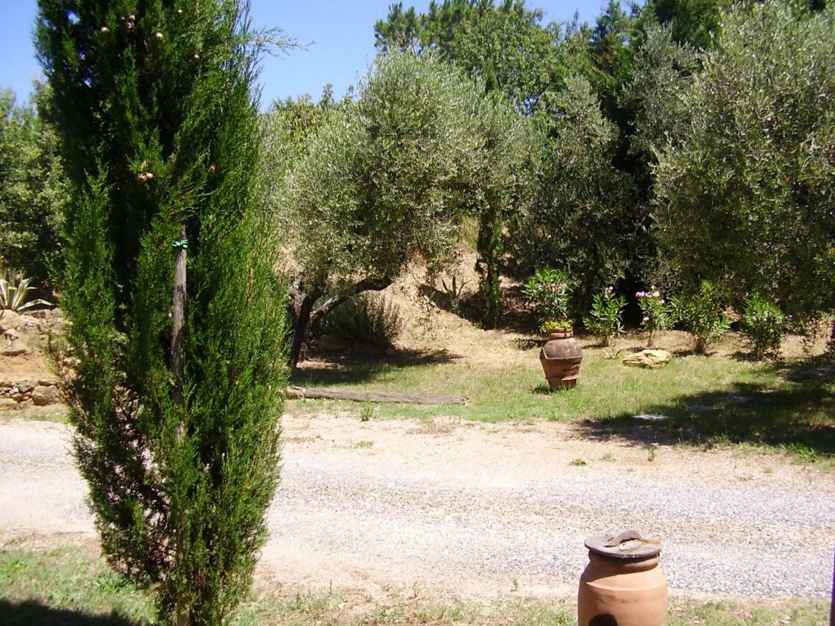 Podere Belvedere Cecina Cecina  Exterior photo