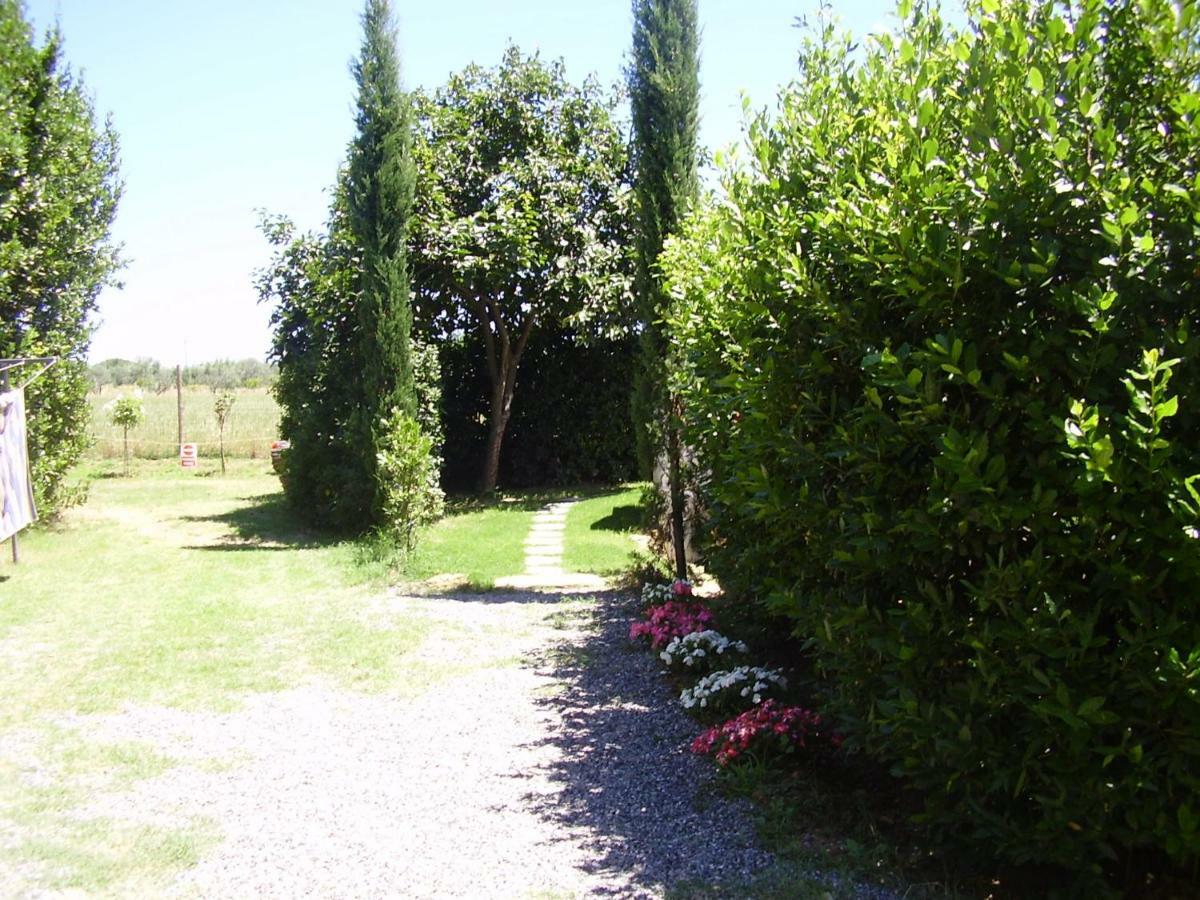 Podere Belvedere Cecina Cecina  Exterior photo